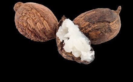 Shea-440x270