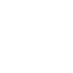 Naturli_Logo_White